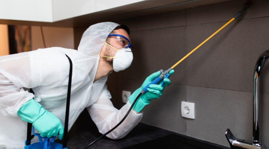 Why choose Alma Pest Control Oxnard for pest control service in Oxnard, CA